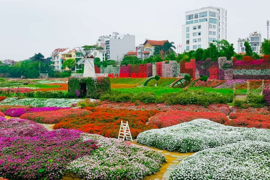 Khám Phá Thung Lũng Hoa Hồ Tây: Điểm Đến Lý Tưởng Cho Tín Đồ Yêu Hoa