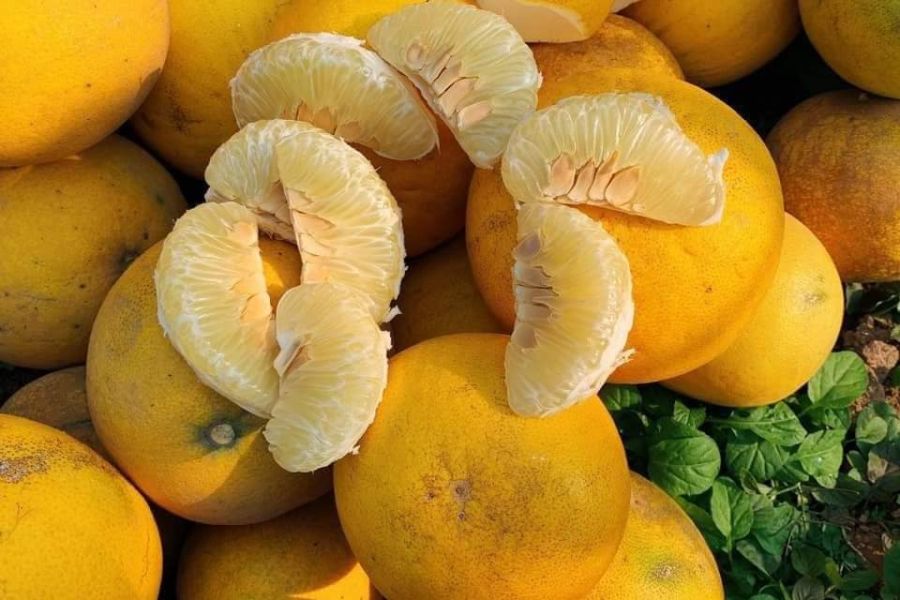 Bưởi Diễn – Tinh Hoa Trái Cây Đất Bắc Khiến Triệu Người Mê