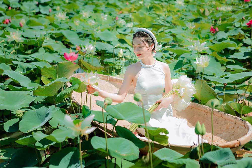 Đầm Sen Tây Hồ – Khám Phá Vẻ Đẹp Của Cảnh Quan và Những Món Ăn Đặc Sản Nơi Đây