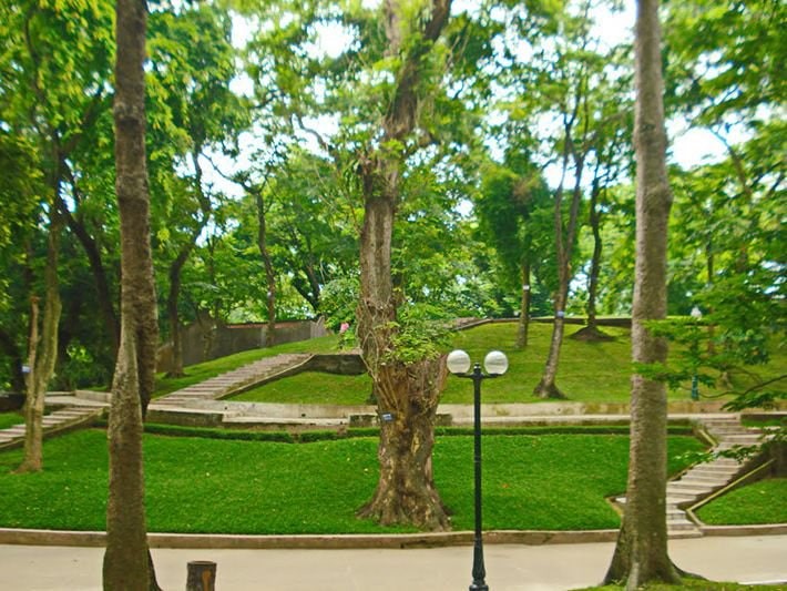 Khám Phá Công Viên Bách Thảo – Một Điểm Đến Không Thể Bỏ Lỡ Tại Hà Nội