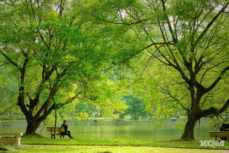 Khám Phá Công Viên Bách Thảo – Một Điểm Đến Không Thể Bỏ Lỡ Tại Hà Nội
