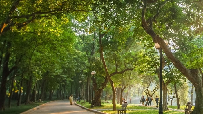 Khám Phá Công Viên Bách Thảo – Một Điểm Đến Không Thể Bỏ Lỡ Tại Hà Nội