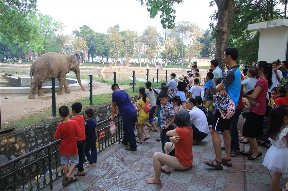 Khám Phá Công Viên Vườn Thú Hà Nội: Điểm Đến Hấp Dẫn Cho Mọi Lứa Tuổi