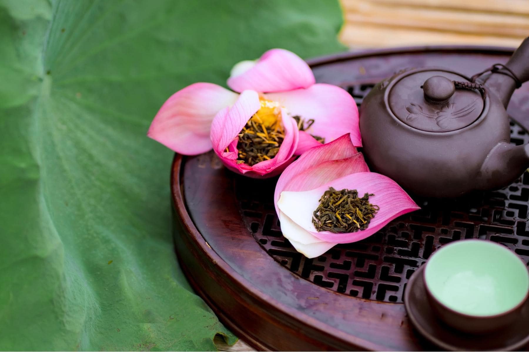 Khám phá hương vị Trà sen Tây Hồ – Tinh hoa nghệ thuật ẩm thực Việt