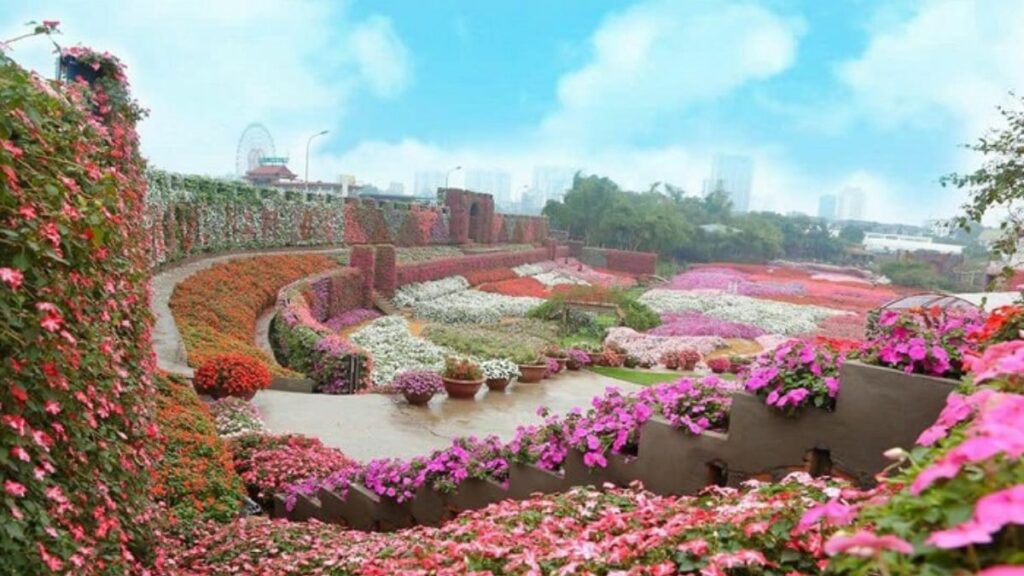 Khám Phá Thung Lũng Hoa Hồ Tây: Điểm Đến Lý Tưởng Cho Tín Đồ Yêu Hoa