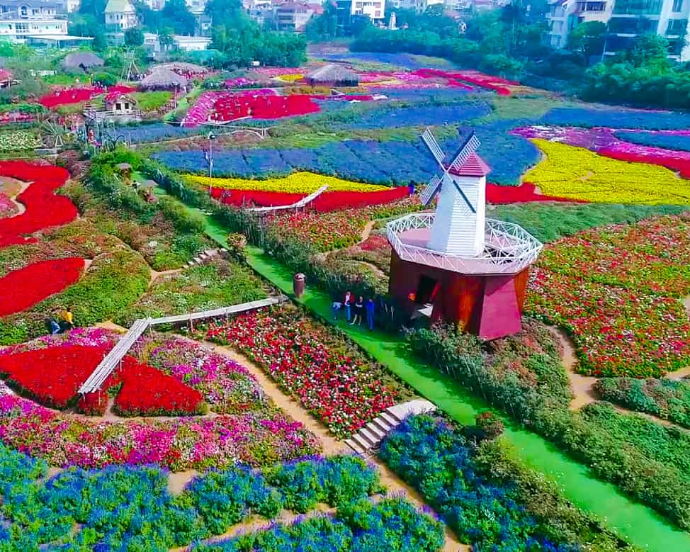 Khám Phá Thung Lũng Hoa Hồ Tây: Điểm Đến Lý Tưởng Cho Tín Đồ Yêu Hoa