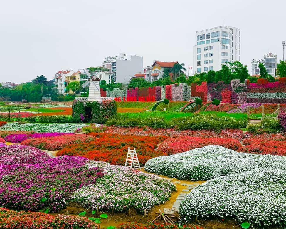 Khám Phá Thung Lũng Hoa Hồ Tây: Điểm Đến Lý Tưởng Cho Tín Đồ Yêu Hoa